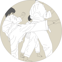 Advanced Karate Classes