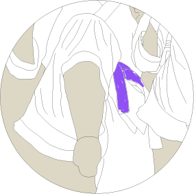 Asset 364