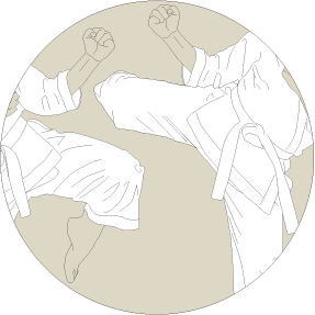 Asset 386